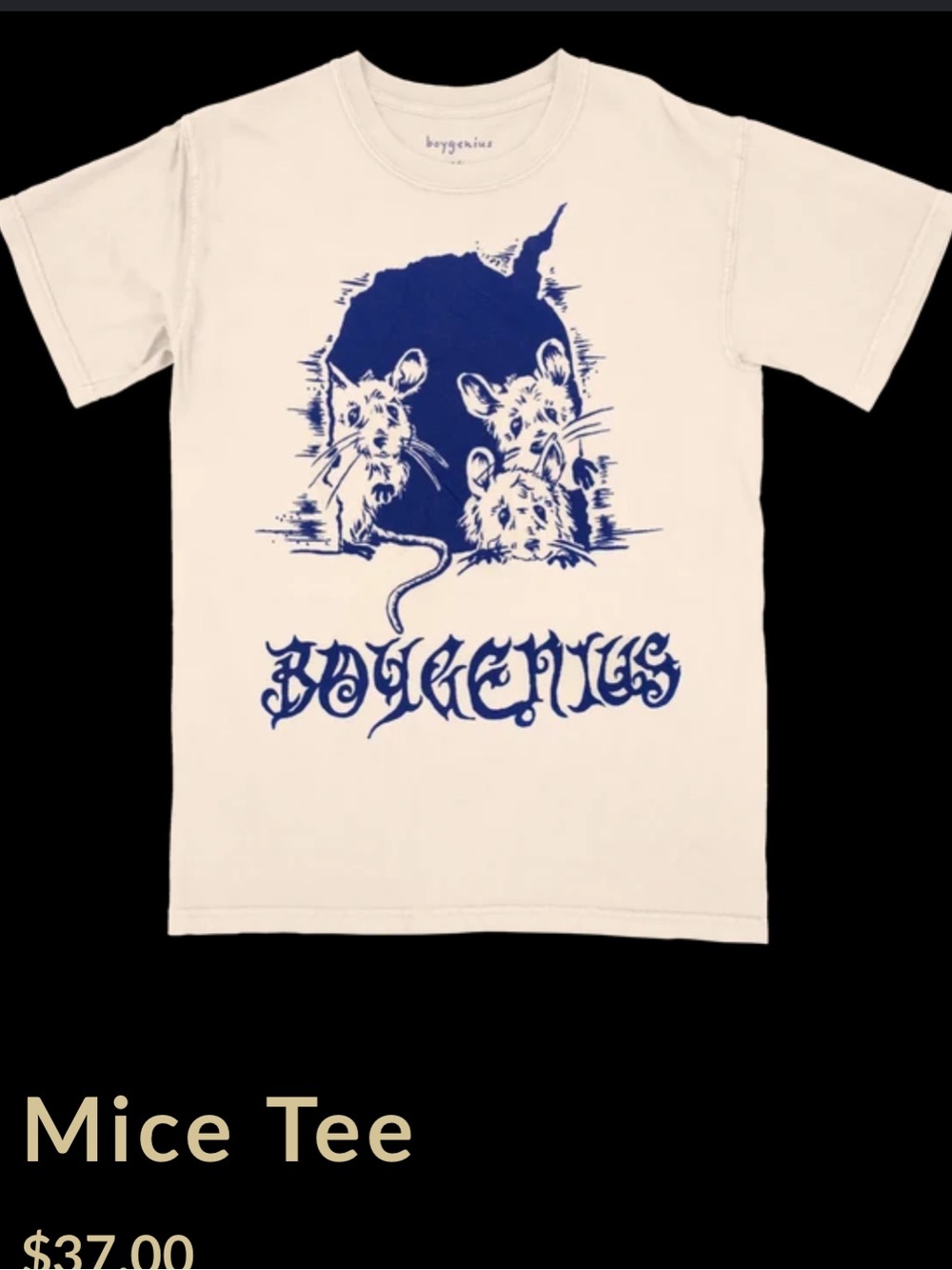 Boygenius merch tshirt xxl oversized boxy